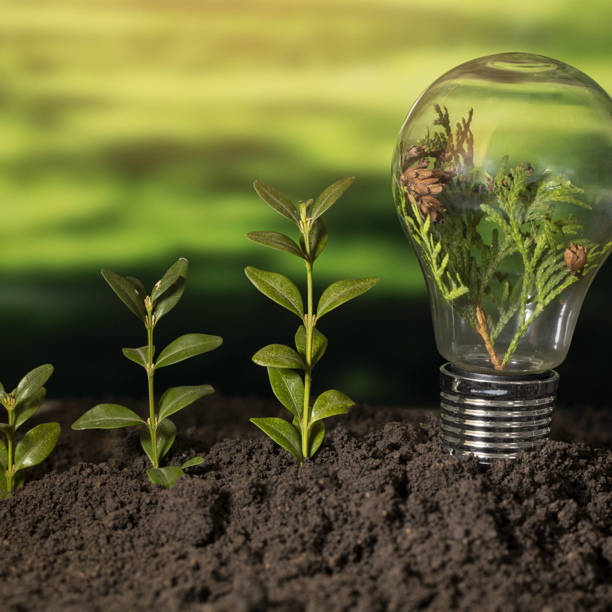 sustainable development goals still life (3)